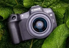 Canon-EOS-R8-Camera